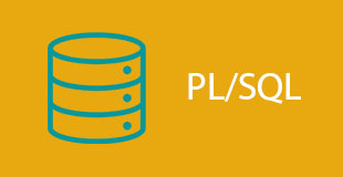 pl/sql